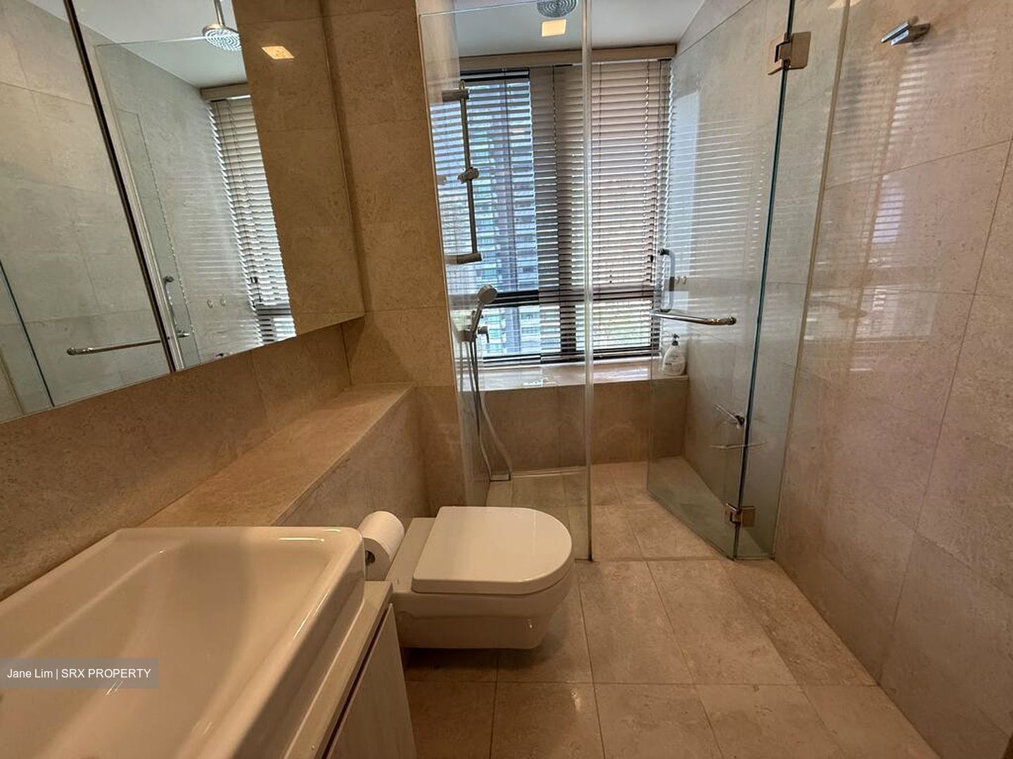 Trilight (D11), Condominium #501877341